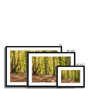 Bolderwood 4 Framed & Mounted Print