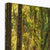 Forest 15 Canvas