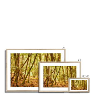 Forest 11 Framed & Mounted Print