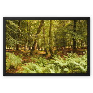 Forest 3 Framed Canvas