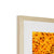 Sun flower 1 Framed & Mounted Print