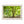 Emerald canopy forest scene