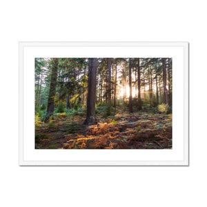 Wilverly at sunset Framed & Mounted Print