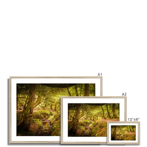 Forest 6 Framed & Mounted Print