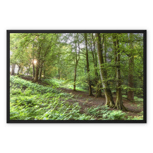 Puckpits valley 2 Framed Canvas