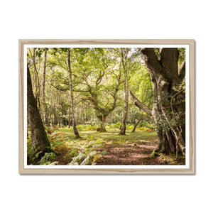 White moor Framed Print