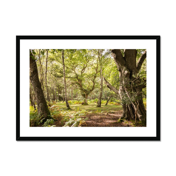 White moor Framed & Mounted Print