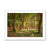 Forest 19 Framed Print