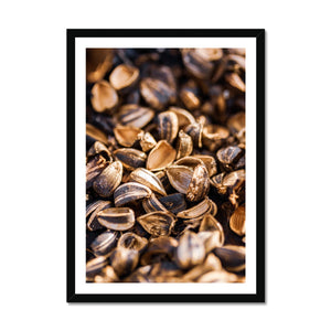 Sun Flower seeds 1 Framed Print