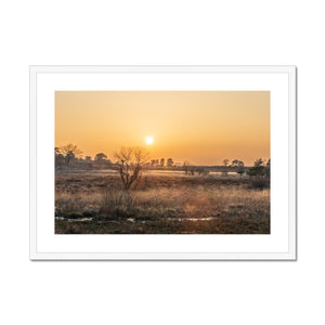 Sun reeds Framed & Mounted Print