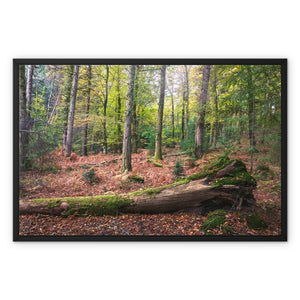 Autumn at Wilverly Framed Canvas