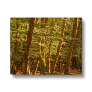 Forest 26 Canvas