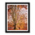 Forest 24 Framed Print