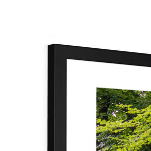 Green forest landscape