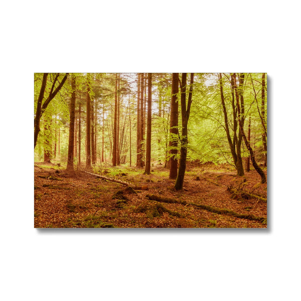 Forest 5 Canvas