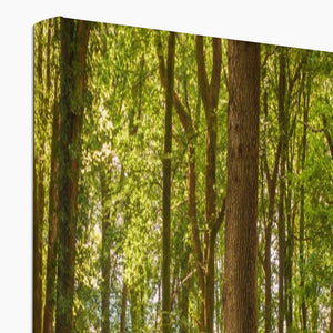 Forest 21 Canvas