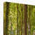 Forest 21 Canvas