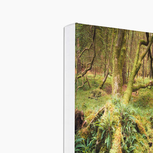 Forest 22 Canvas