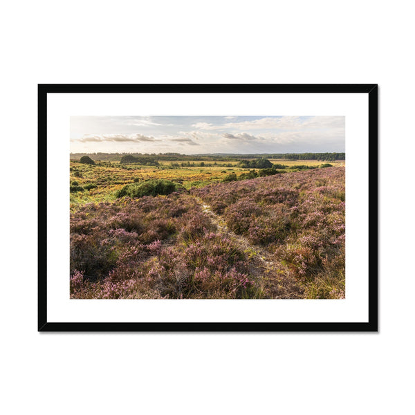 Holm Hill Framed & Mounted Print