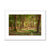 Forest 19 Framed & Mounted Print