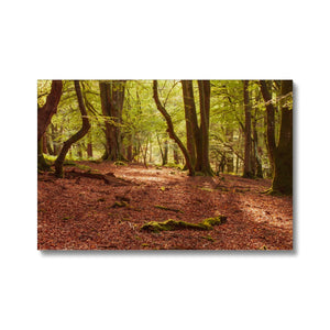 Forest 10 Canvas