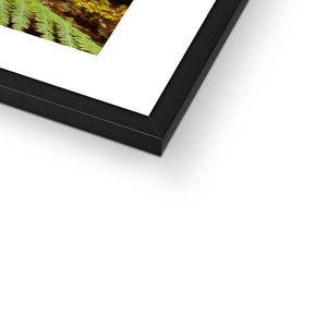 Forest  23 Framed Print