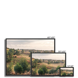 Acres down Framed Canvas