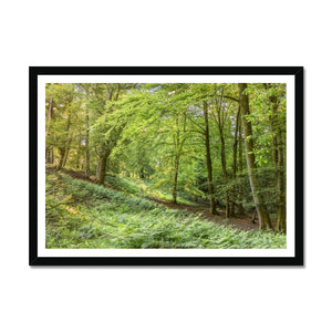 Puckpits valley 1 Framed Print