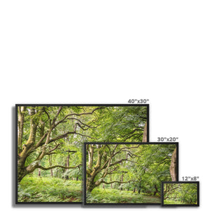 Green forest landscape