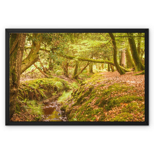 Forest 6 Framed Canvas