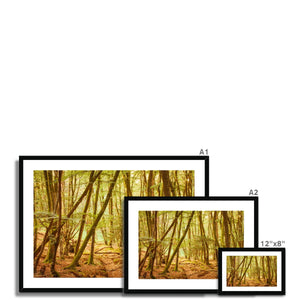 Forest 11 Framed & Mounted Print