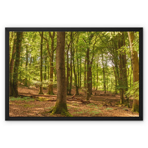 Forest 21 Framed Canvas