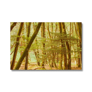 Forest 11 Canvas