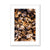 Sun Flower seeds 1 Framed & Mounted Print