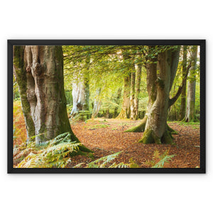 Forest 18 Framed Canvas