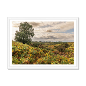 Seasons valley Framed Print