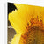 Sun Flower 2 Canvas