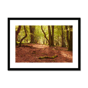 Forest 10 Framed & Mounted Print