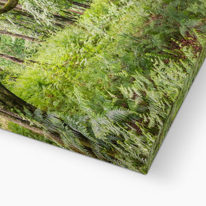 Green forest landscape