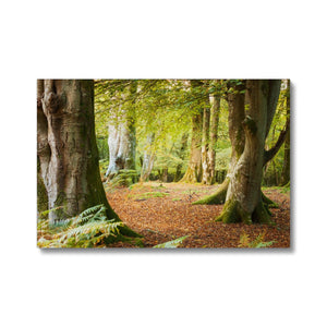 Forest 18 Canvas