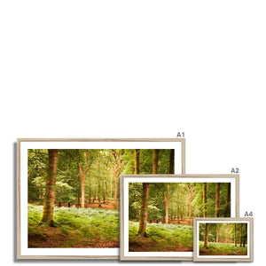 Forest 13 Framed Print