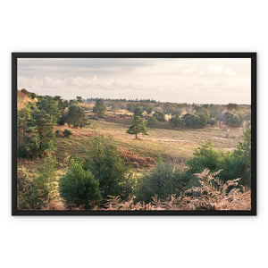 Acres down Framed Canvas