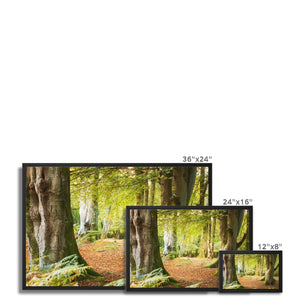 Forest 18 Framed Canvas