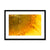 Sun Flower 3 Framed & Mounted Print