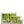 Emerald canopy forest scene