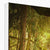 Forest 6 Canvas