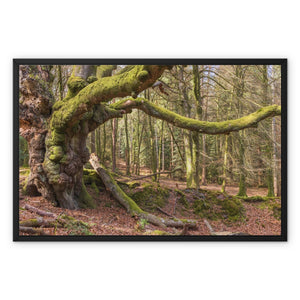 Acres gardian Framed Canvas