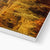 Forest 20 Canvas