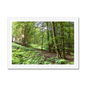 Puckpits valley 2 Framed Print