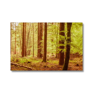 Forest 5 Canvas